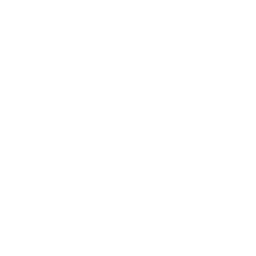 Users